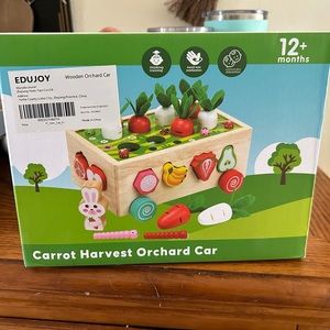 Wooden Kids Toy || Carrot Harvest Toy || Montessori
